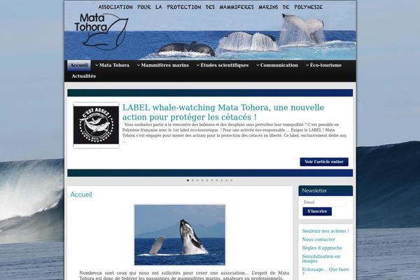 Site using Better WordPress Minify plugin