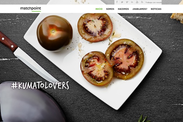 Punch theme site design template sample