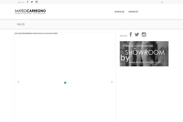 Zeever theme site design template sample