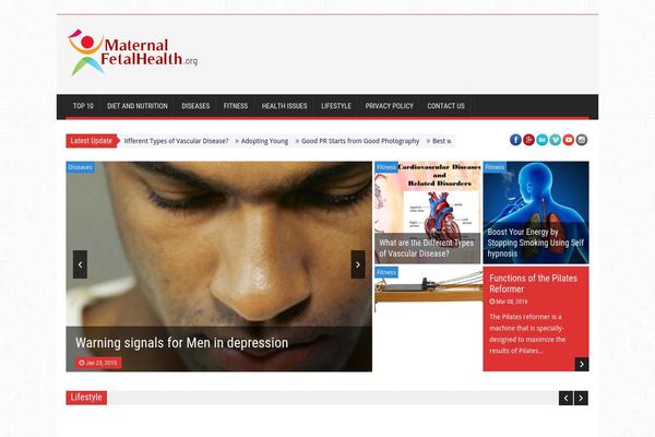 SaladMag theme site design template sample
