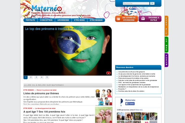 Site using Tomparisde-twitchtv-widget plugin