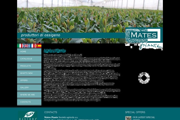 matespiante.net site used Mates