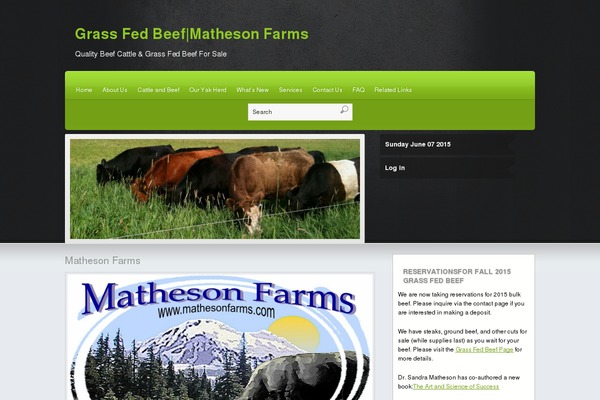 Martin theme site design template sample