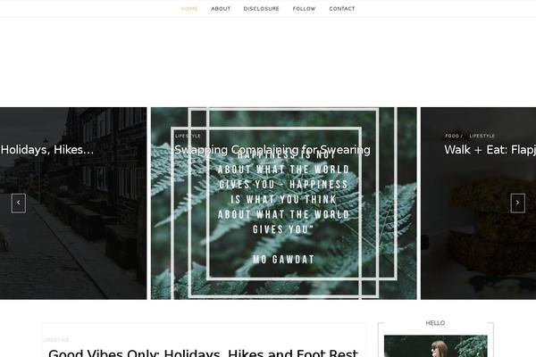 Ashe-pro-premium theme site design template sample