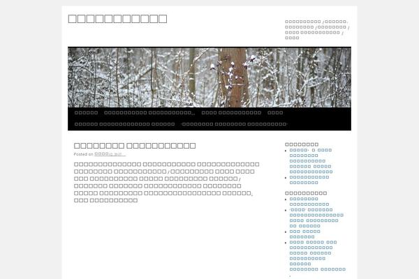 TimesNews theme site design template sample