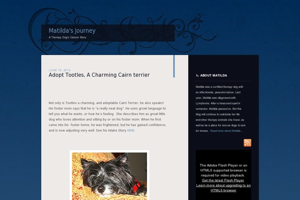 matildasjourney.com site used Dusk To Dawn
