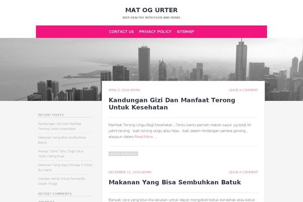 Chicago theme site design template sample