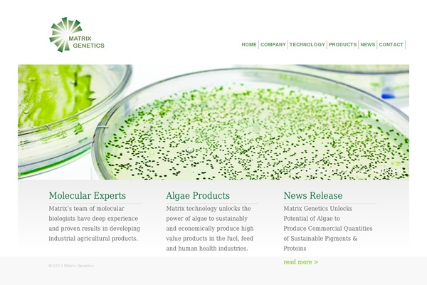 matrix theme site design template sample