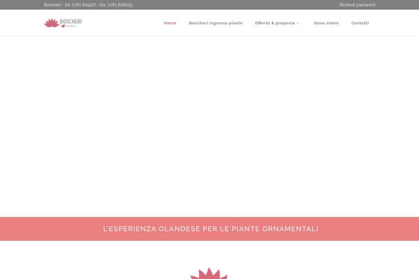 Conall theme site design template sample