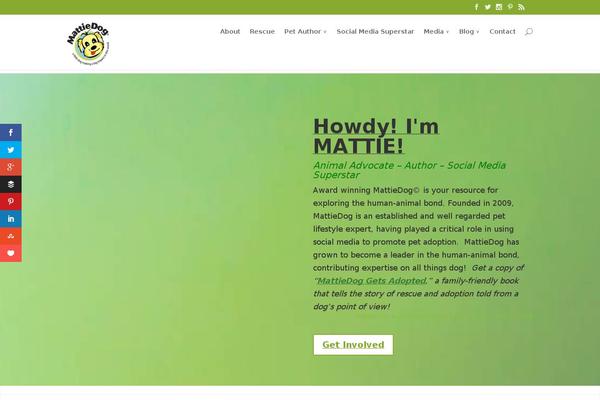Divi theme site design template sample