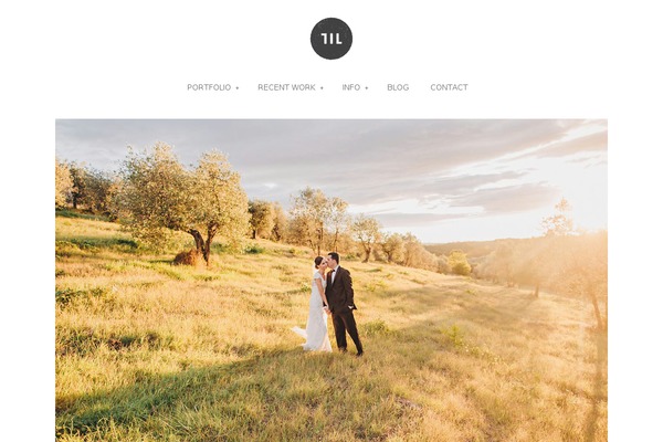 Pilot theme site design template sample