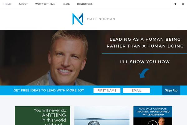 Aresivel theme site design template sample