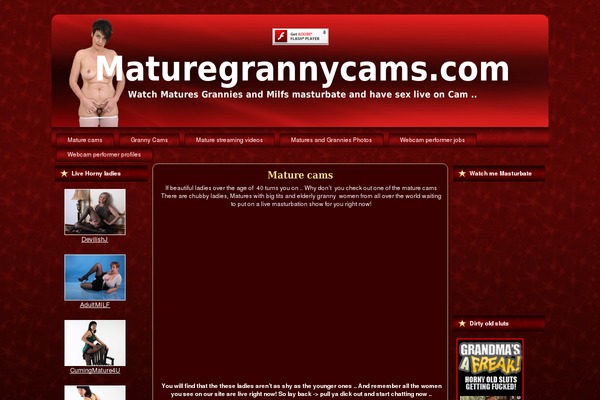 Site using Flash Video Player plugin