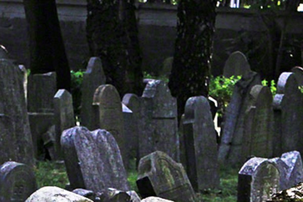 matzevah.org site used Parallax