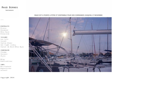 Site using WP Canvas - Gallery plugin