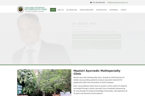SoulMedic theme site design template sample