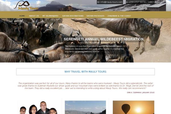 Tour Package theme site design template sample