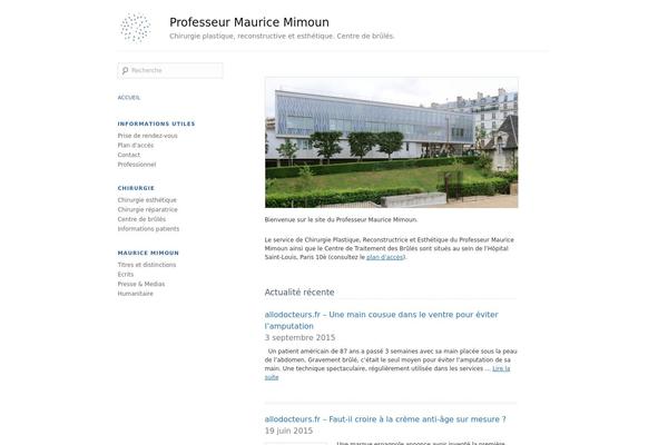 McLuhan theme site design template sample