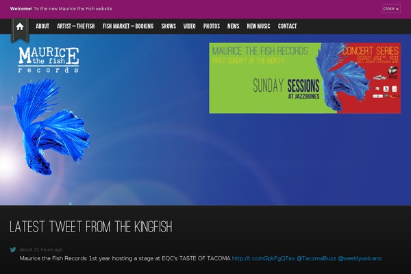 Live theme site design template sample