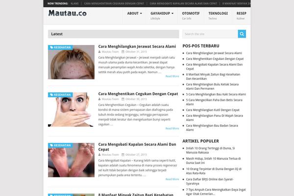 Mts_point_pro theme site design template sample