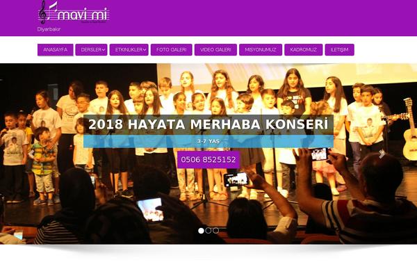 Enigma theme site design template sample