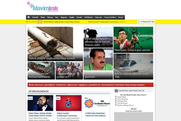 Xturkv280 theme site design template sample