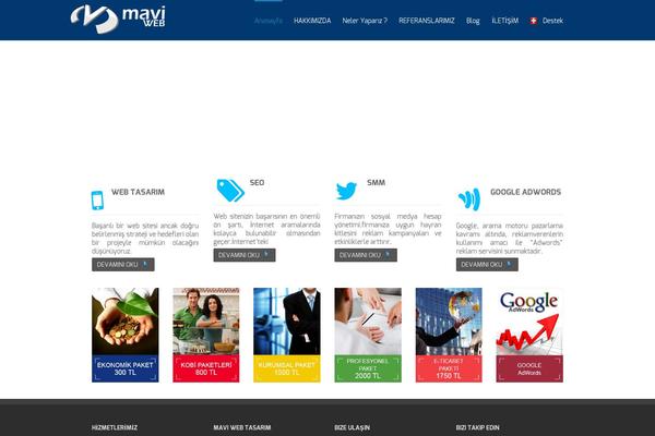 Maviweb theme websites examples
