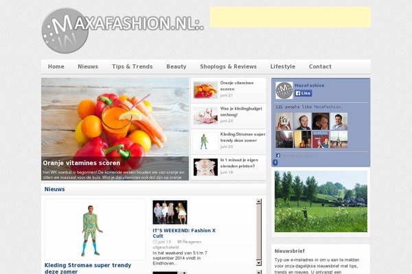 Amadeus theme site design template sample