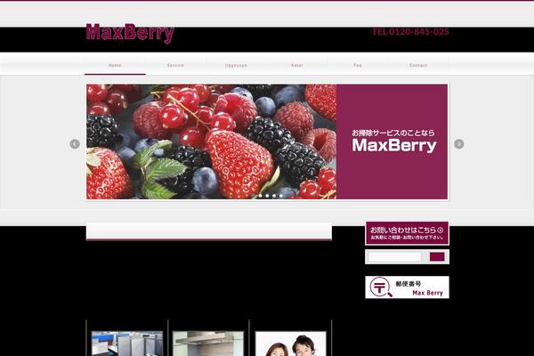 Lightning_child_sample theme site design template sample
