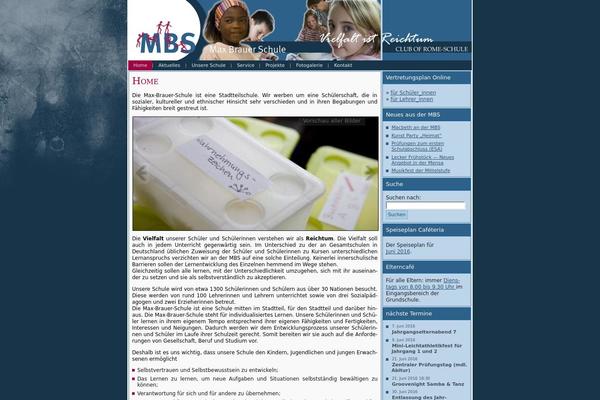 Site using Flash Video Player plugin