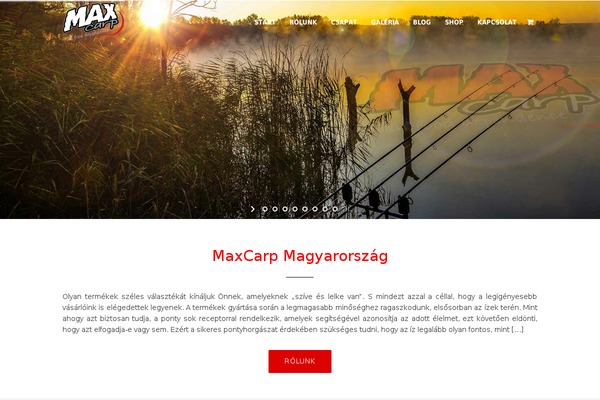 Site using Ele-custom-skin plugin