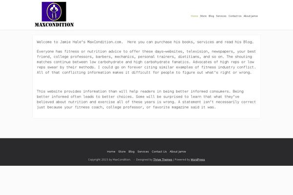 Focusblog theme site design template sample