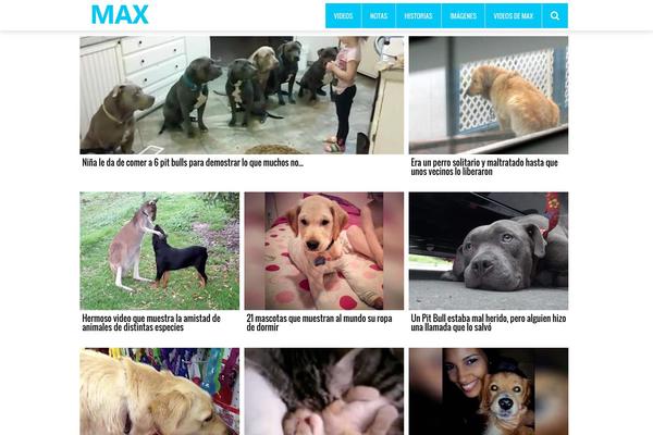 v1.1 WordPress theme, websites list used v1.1 theme v1.1 theme websites examples