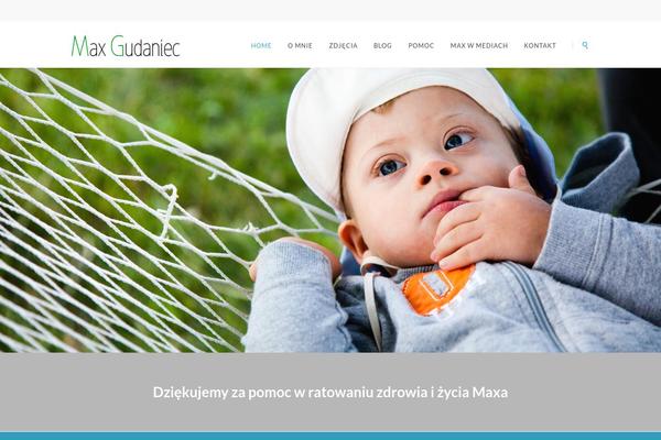 Vision_wp theme site design template sample