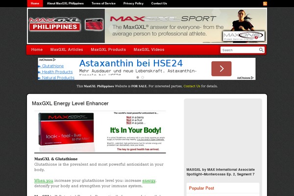 Newsflash theme site design template sample
