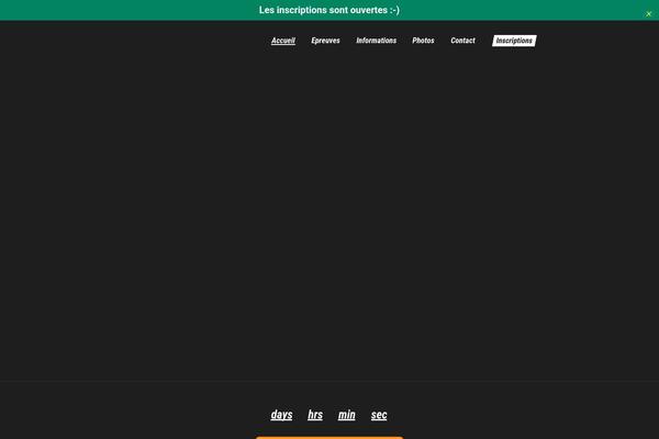 Redy website example screenshot