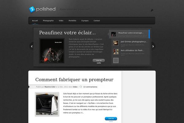 Polished theme site design template sample