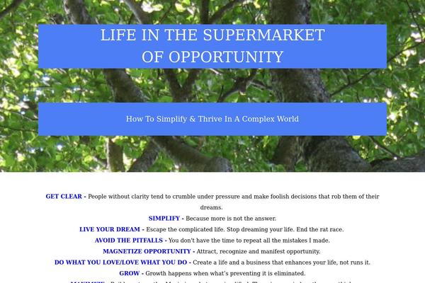 Parallax Pro theme site design template sample