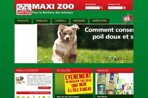 pompomgalli WordPress theme, websites list used pompomgalli theme pompomgalli theme websites examples