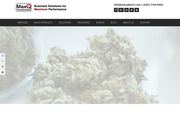 Site using Exactmetrics-premium plugin