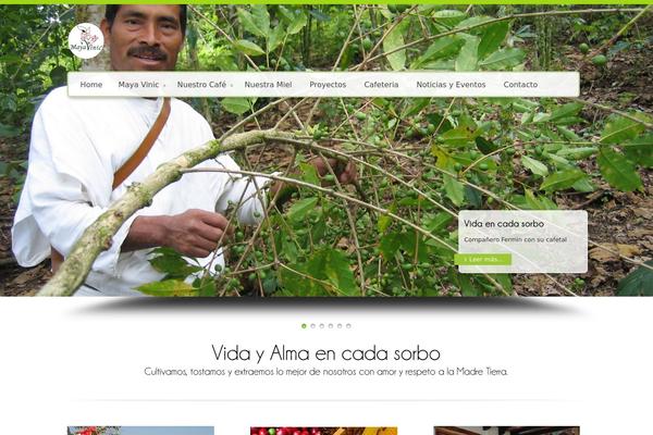 Site using CPO Widgets plugin
