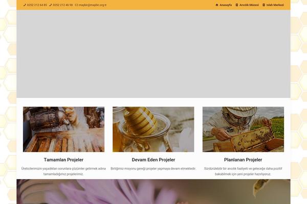 BeTheme Child theme site design template sample