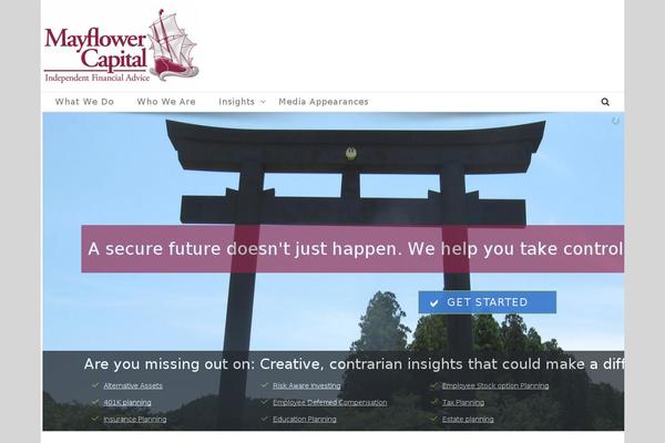 Site using Anti-Spam by CleanTalk - No Captcha, no comments & registrations spam plugin