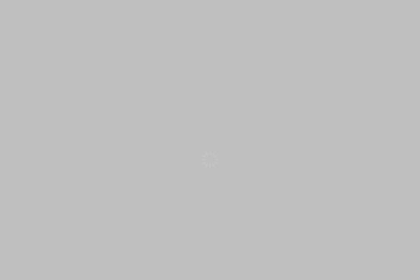 Site using Essential Doo Components for Visual Composer plugin