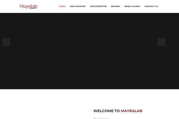 Bridge Child theme site design template sample