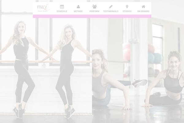 Fit theme site design template sample