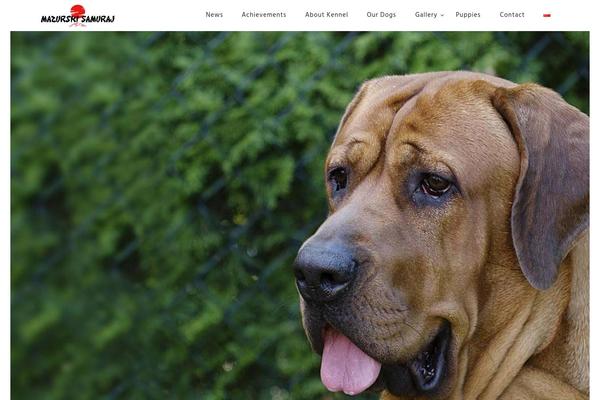 ROSA theme site design template sample