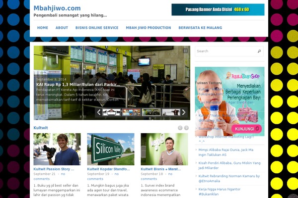 Max Mag theme site design template sample