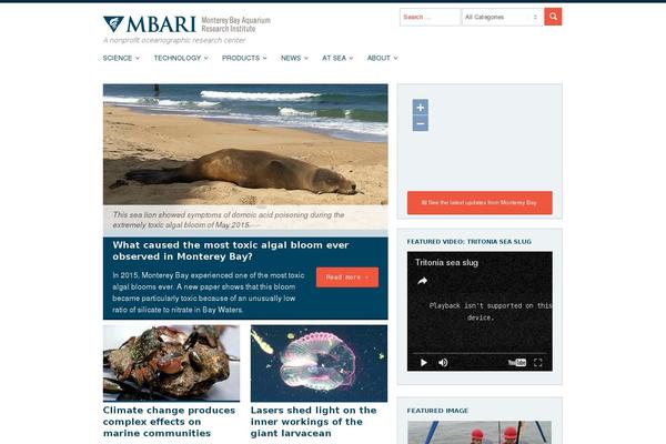 Site using Vc-visceral-addons plugin