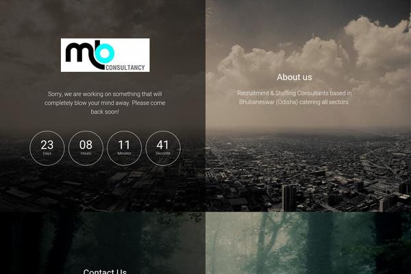 BlackBird theme site design template sample